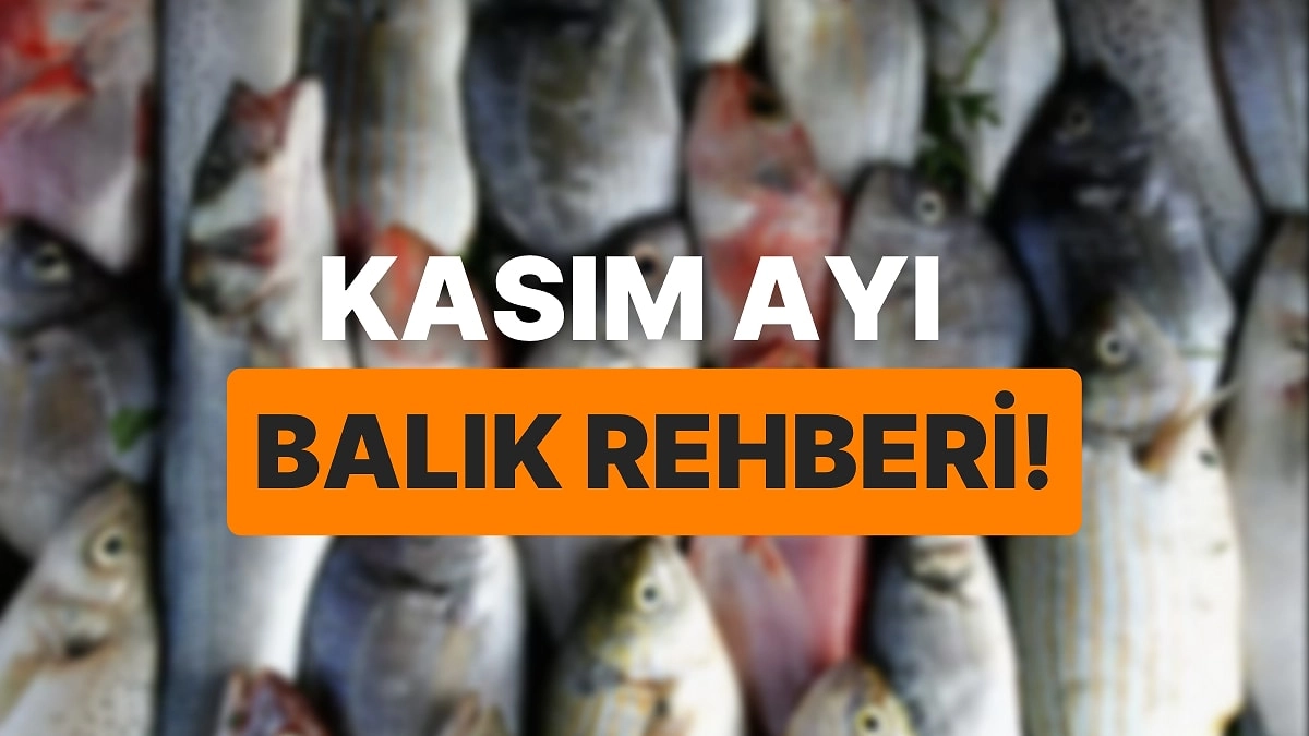 kasım ayı balıkları